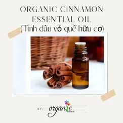 TINH DẦU QUẾ HỮU CƠ (ORGANIC CINNAMON ESSENTIAL OIL)