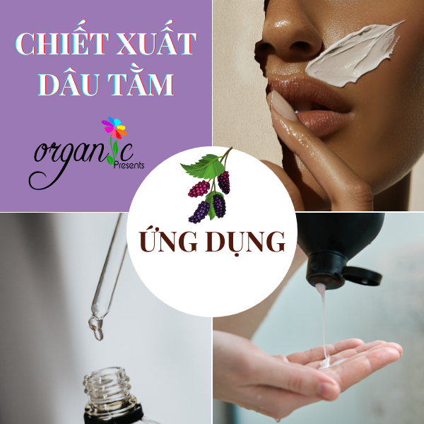 CHIẾT XUẤT DÂU TẰM (MULBERRY EXTRACT - HÀN QUỐC)