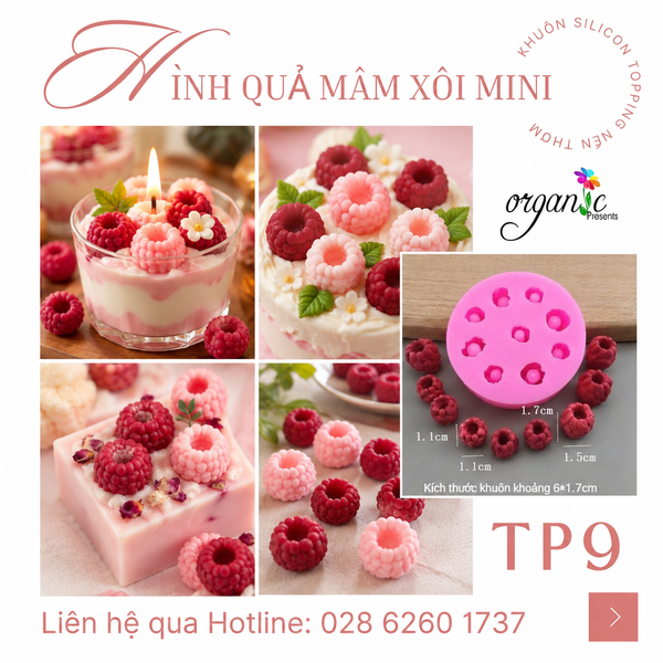 KHUÔN SILICON TOPPING HÌNH QUẢ MÂM XÔI MINI (TP9)