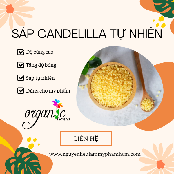 SÁP CANDELILLA TỰ NHIÊN (MỸ)