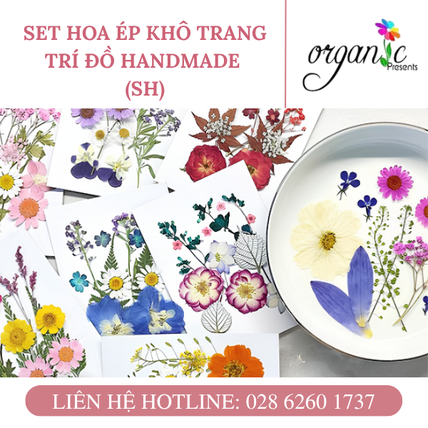 SET HOA ÉP KHÔ TRANG TRÍ ĐỒ HANDMADE (SH)