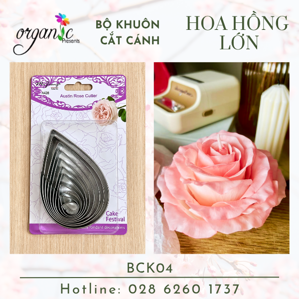 BỘ KHUÔN INOX CẮT CÁNH HOA LÀM HOA NẾN