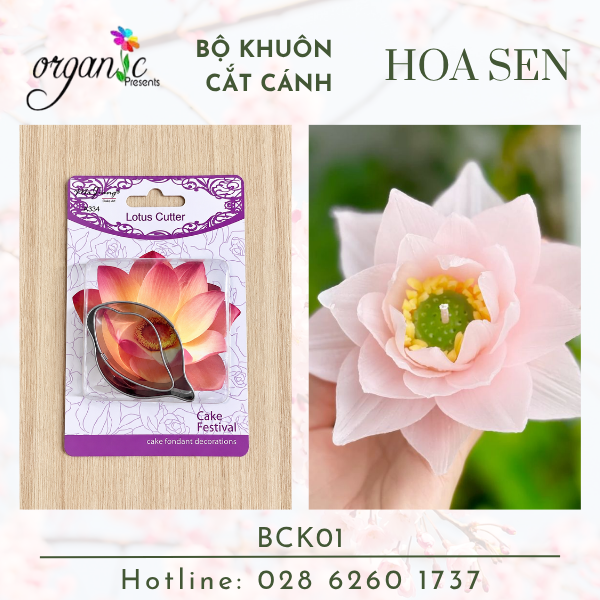 BỘ KHUÔN INOX CẮT CÁNH HOA LÀM HOA NẾN