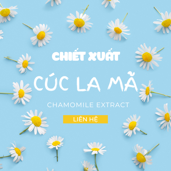 CHIẾT XUẤT CÚC LA MÃ (CHAMOMILE EXTRACT - ITALIA)