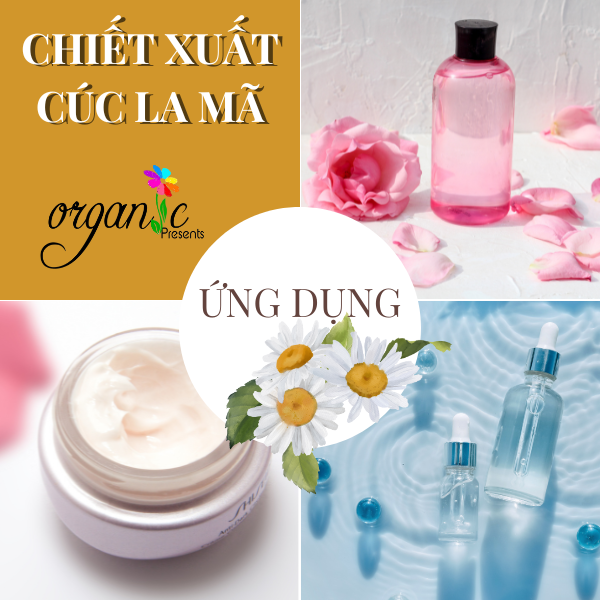 CHIẾT XUẤT CÚC LA MÃ (CHAMOMILE EXTRACT - ITALIA)
