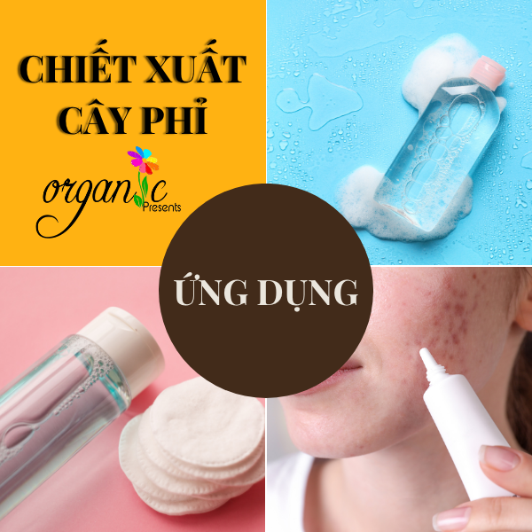 CHIẾT XUẤT CÂY PHỈ (WITCH HAZEL EXTRACT - ITALIA)