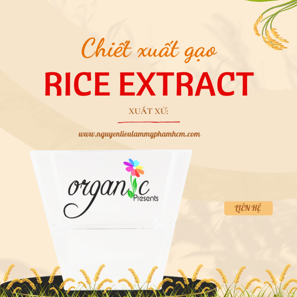 CHIẾT XUẤT GẠO (RICE EXTRACT - TBN)