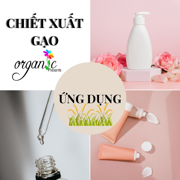 CHIẾT XUẤT GẠO (RICE EXTRACT - TBN)