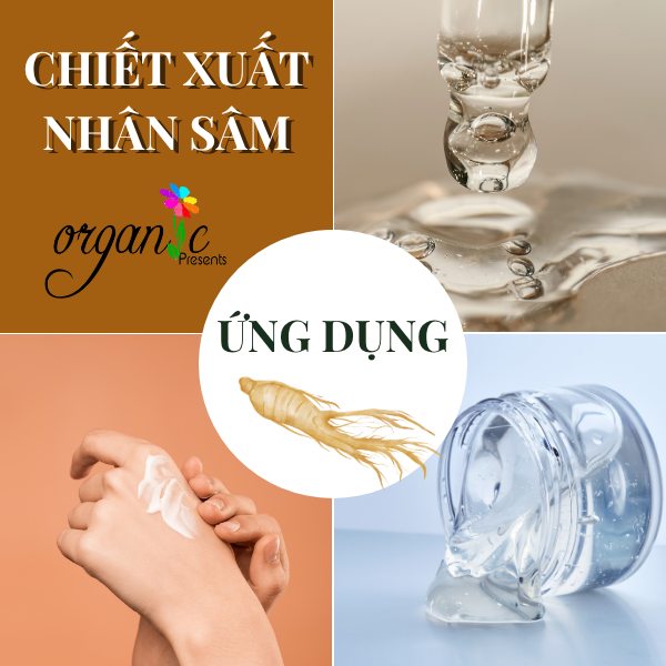 CHIẾT XUẤT NHÂN SÂM (GINSENG EXTRACT - HÀN QUỐC)