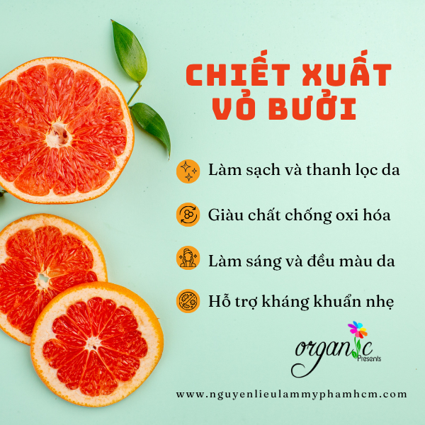 CHIẾT XUẤT VỎ BƯỞI (GRAPEFRUIT EXTRACT - TÂY BAN NHA)
