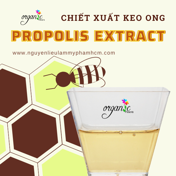CHIẾT XUẤT KEO ONG (PROPOLIS EXTRACT - HÀN QUỐC)