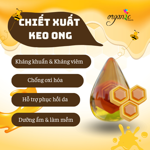 CHIẾT XUẤT KEO ONG (PROPOLIS EXTRACT - HÀN QUỐC)