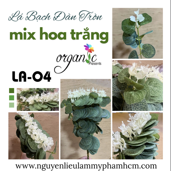 LÁ BẠCH ĐÀN TRÒN MIX HOA TRẮNG TRANG TRÍ GIỎ HOA (LA04)