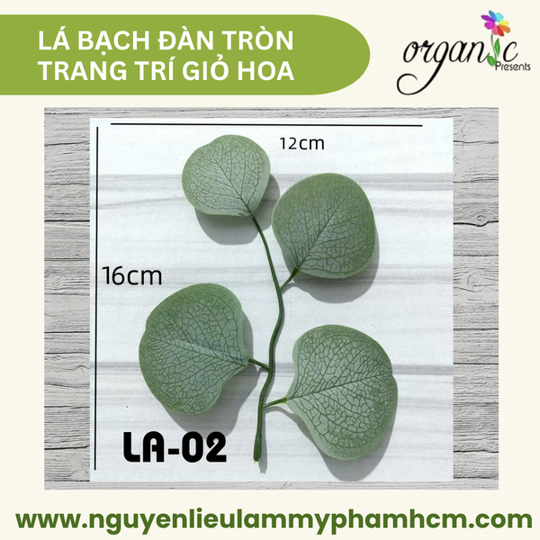 LÁ BẠCH ĐÀN TRÒN TRANG TRÍ GIỎ HOA (LA02)