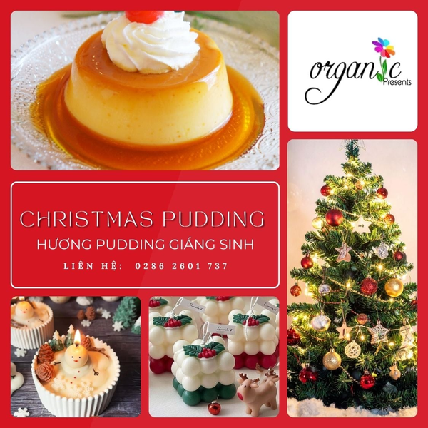 CHRISTMAS PUDDING (HƯƠNG PUDDING GIÁNG SINH)