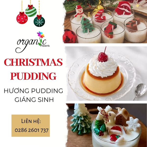 CHRISTMAS PUDDING (HƯƠNG PUDDING GIÁNG SINH)