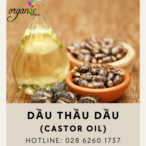 DẦU THẦU DẦU (PHÁP)