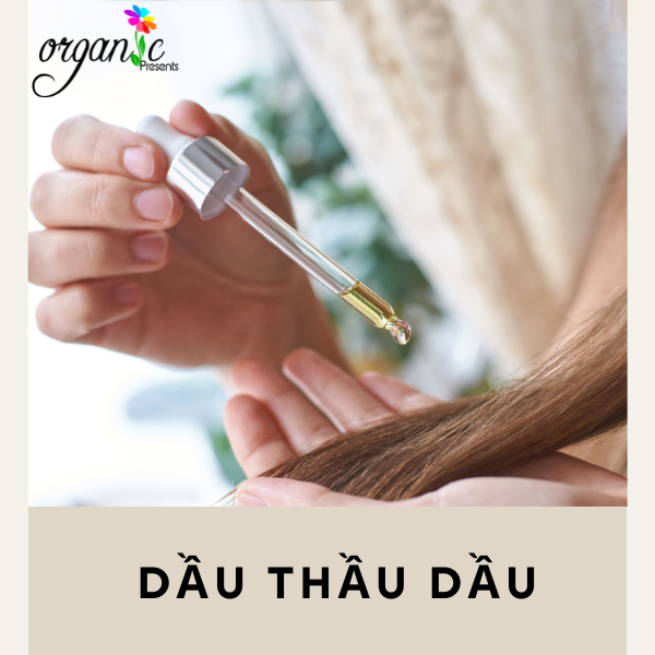 DẦU THẦU DẦU (PHÁP)