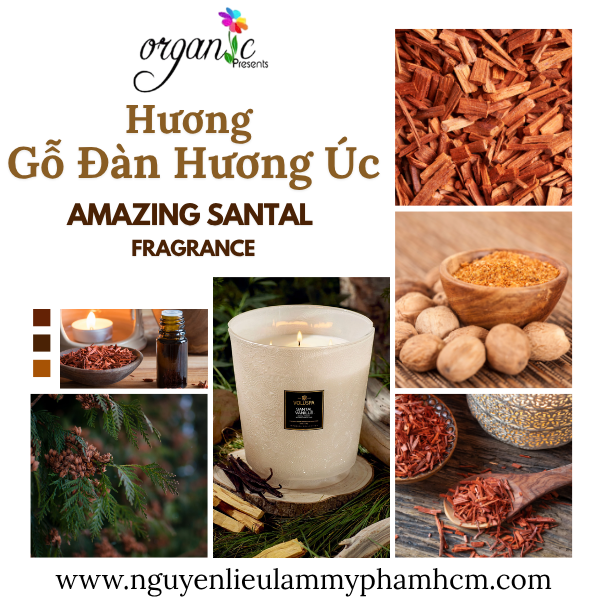HƯƠNG GỖ ĐÀN HƯƠNG ÚC (AMAZING SANTAL FRAGRANCE)
