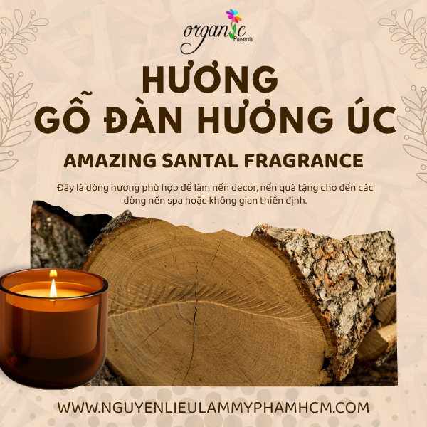 HƯƠNG GỖ ĐÀN HƯƠNG ÚC (AMAZING SANTAL FRAGRANCE)