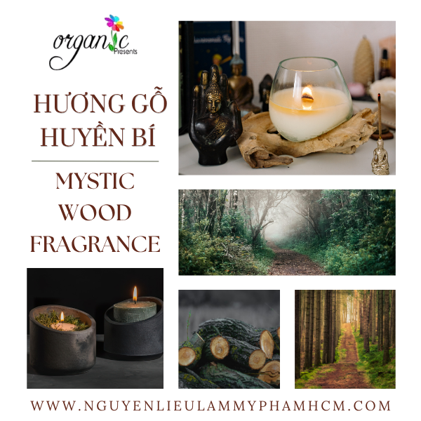 HƯƠNG GỖ HUYỀN BÍ (MYSTIC WOOD FRAGRANCE)