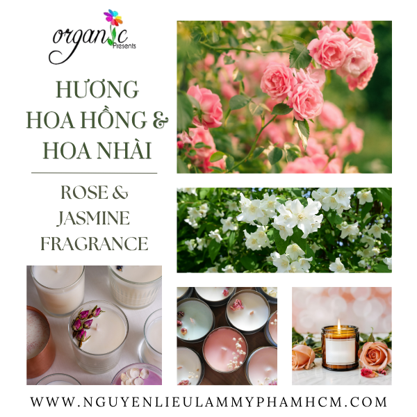 HƯƠNG HOA HỒNG & HOA NHÀI (ROSE & JASMINE FRAGRANCE)