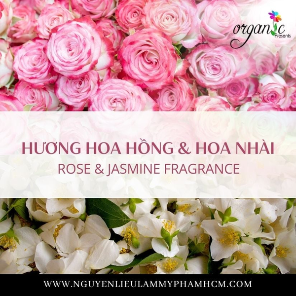 HƯƠNG HOA HỒNG & HOA NHÀI (ROSE & JASMINE FRAGRANCE)