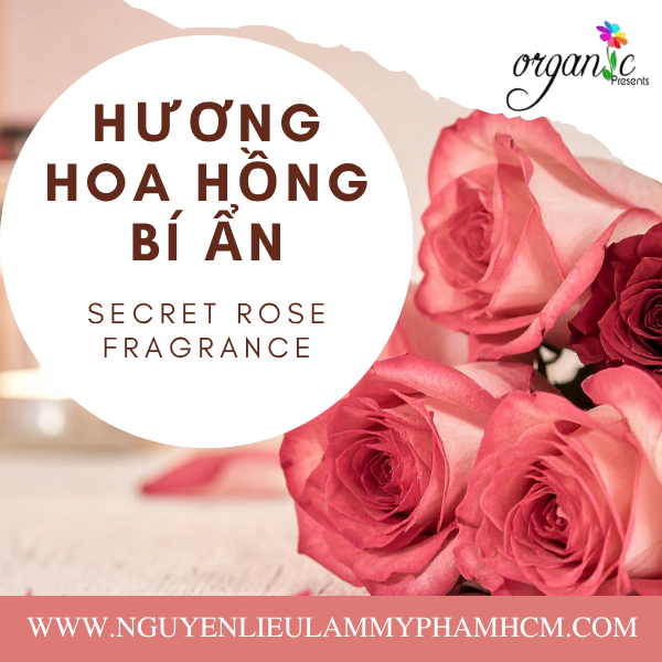 HƯƠNG HOA HỒNG BÍ ẨN (SECRET ROSE FRAGRANCE)