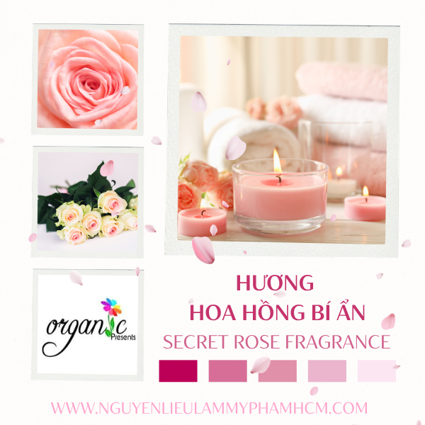 HƯƠNG HOA HỒNG BÍ ẨN (SECRET ROSE FRAGRANCE)