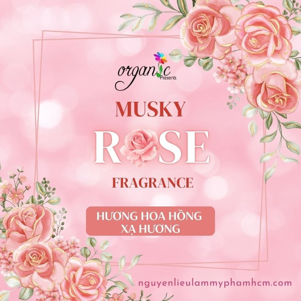 HƯƠNG HOA HỒNG XẠ HƯƠNG (MUSKY ROSE FRAGRANCE)