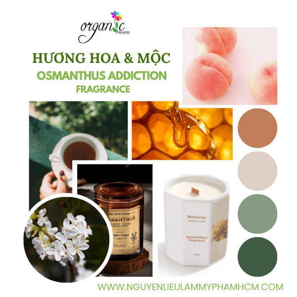 HƯƠNG HOA & MỘC (OSMANTHUS ADDICTION FRAGRANCE)