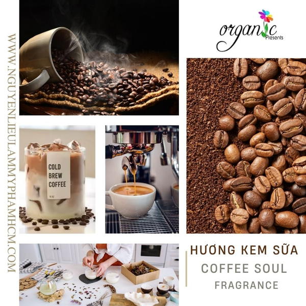 HƯƠNG KEM SỮA (COFFEE SOUL FRAGRANCE)