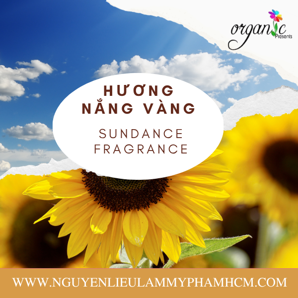 HƯƠNG NẮNG VÀNG (SUNDANCE FRAGRANCE)