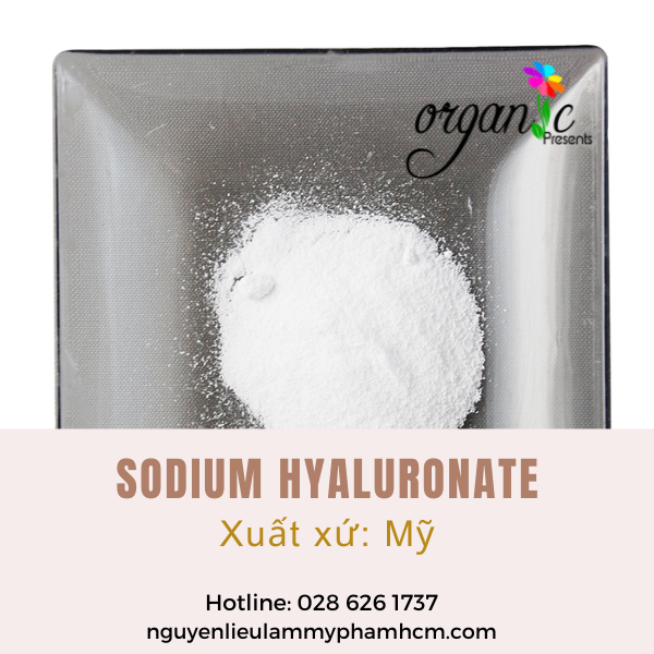 SODIUM HYALURONATE (MỸ)