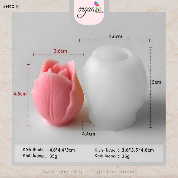 KHUÔN SILICON HOA TULIP (H20 - M)