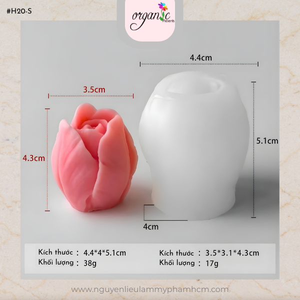 KHUÔN SILICON HOA TULIP (H20 - S)