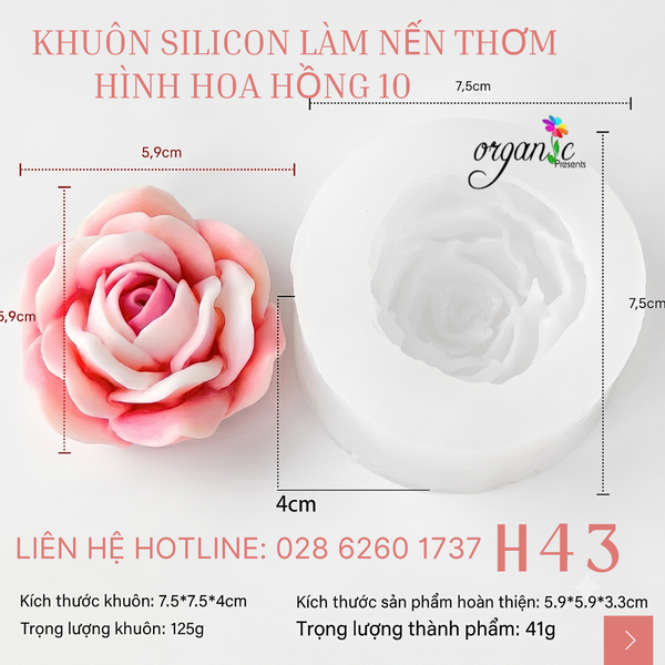 KHUÔN SILICON LÀM NẾN THƠM HÌNH HOA HỒNG 10 (H43)
