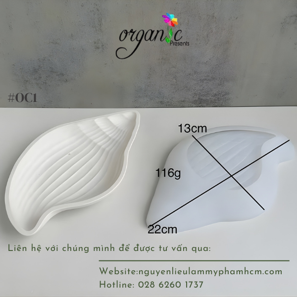 KHUÔN SILICONE LÀM THẠCH CAO HÌNH VỎ ỐC (OC1)