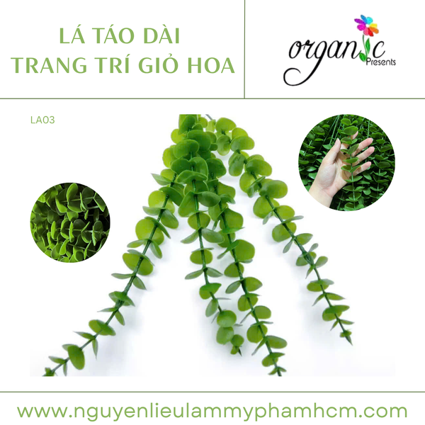 LÁ TÁO DÀI TRANG TRÍ GIỎ HOA (LA03)