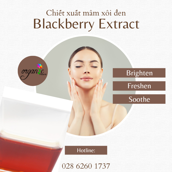 BLACKBERRY FRUIT EXTRACT (CHIẾT XUẤT QUẢ MÂM XÔI ĐEN - PHÁP)