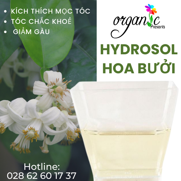 NƯỚC HOA BƯỞI (GRAPEFRUIT BLOSSOM HYDROSOL - VN)