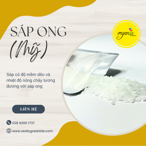 SÁP ONG (MỸ)