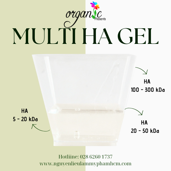 MULTI HA GEL