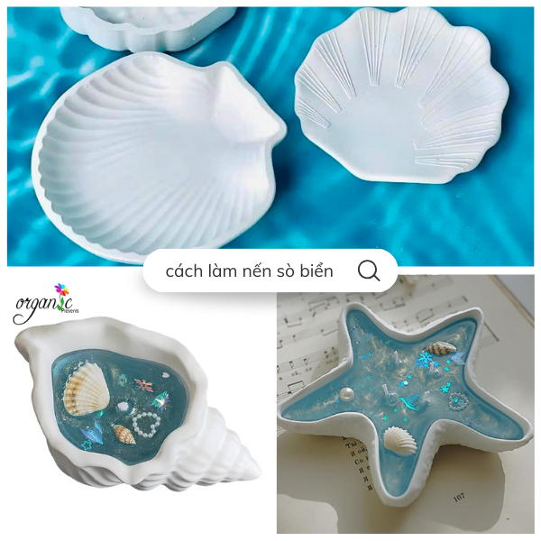 KHUÔN SILICONE LÀM THẠCH CAO HÌNH VỎ SÒ (SO1)