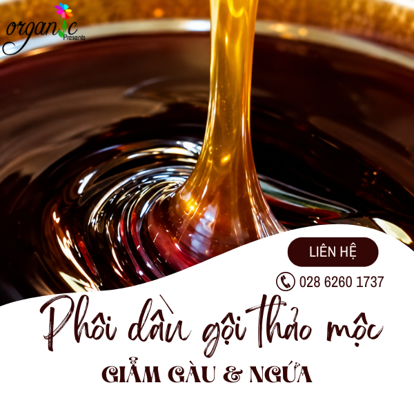 PHÔI DẦU GỘI THẢO MỘC GIẢM GÀU & NGỨA (THỂ TRONG)