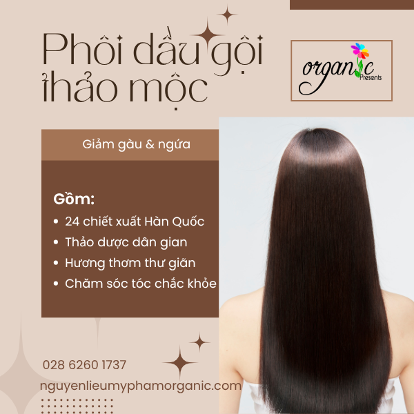 PHÔI DẦU GỘI THẢO MỘC GIẢM GÀU & NGỨA (THỂ TRONG)