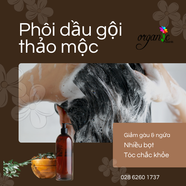 PHÔI DẦU GỘI THẢO MỘC GIẢM GÀU & NGỨA (THỂ TRONG)