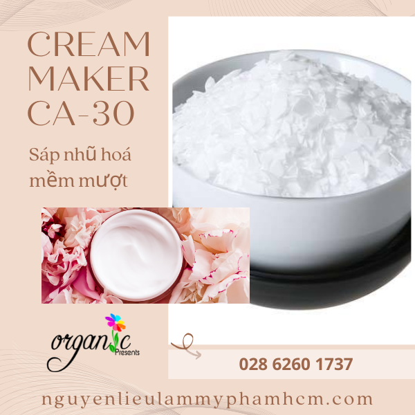 CREAM MAKER CA-30 (Ý)