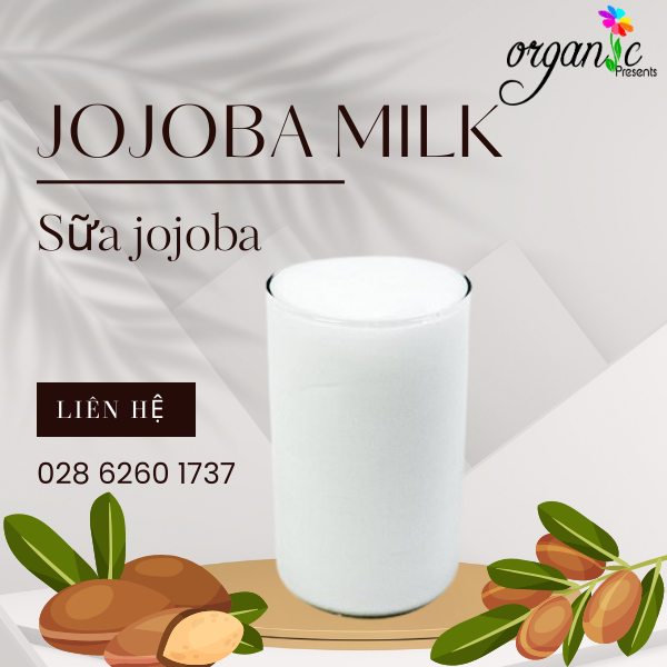JOJOBA MILK (JOJOBA DẠNG SỮA)