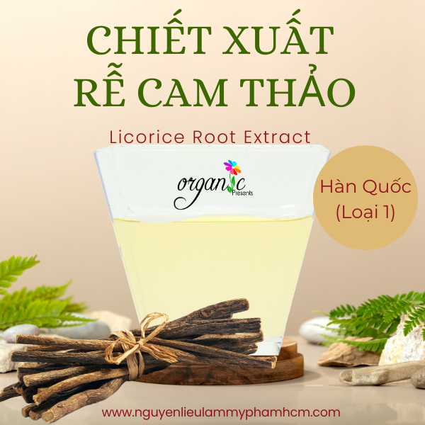 CHIẾT XUẤT CAM THẢO (HÀN QUỐC - LỌAI 1)